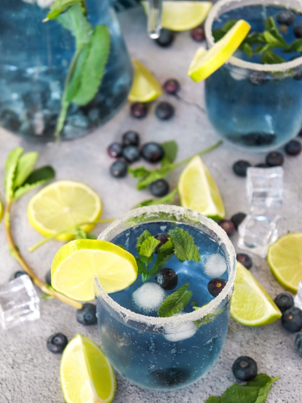 Garnish-as-one-of-Blueberry-Mojito-Mocktail-Recipe