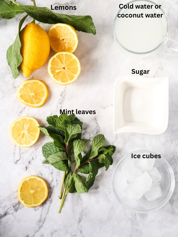 Lemon-mint-leaves-ice-cubes-sugar-sparkling-water