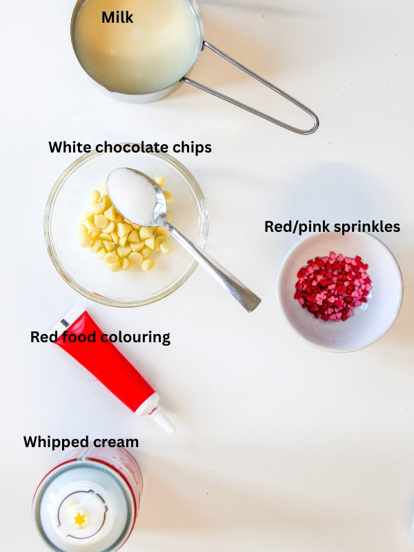 Ingredients-needed-for-the-receipe