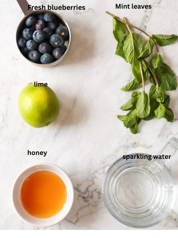 Ingredients-Blueberry-Mojito-Mocktail