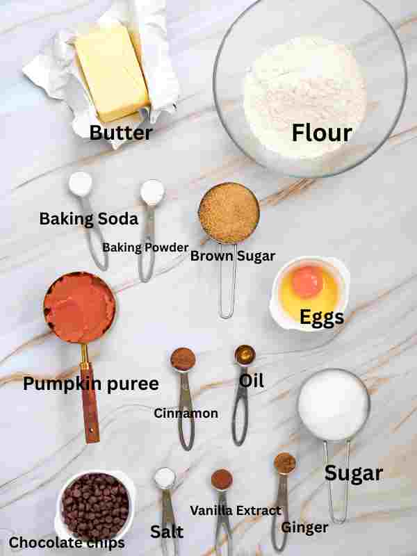 Ingredient-for-your-Pumpkin-Chocolate-Chip-Cookies