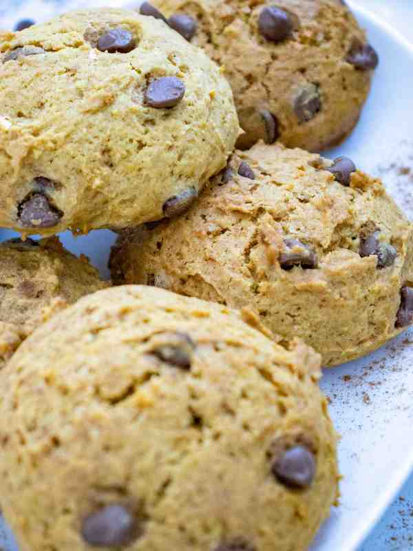 Serving-Storage-Tips.